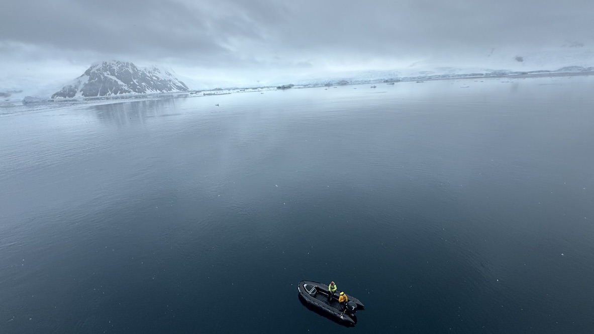 Neko Harbor: The Best Penguin Landing in Antarctica