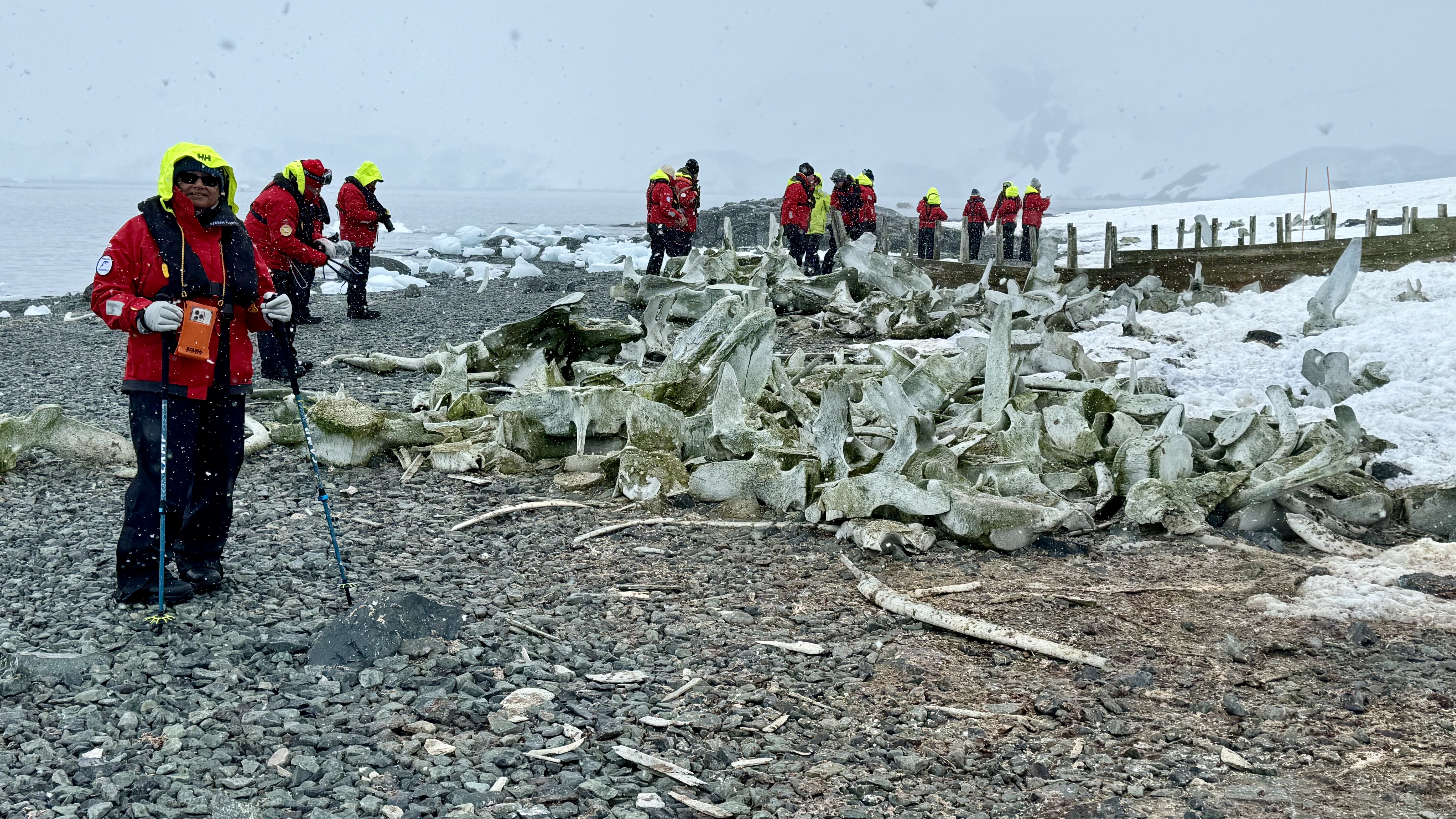 Mikkelson Harbor: Penguins, Seals & Antarctic Silence